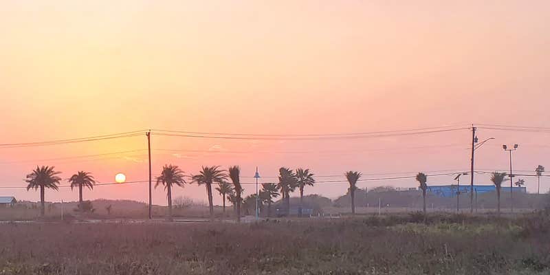 Camper submitted image from Andy Bowie County Park