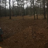 Review photo of Lake Bistineau State Park Campground by Aleia B., February 26, 2022