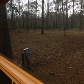 Review photo of Lake Bistineau State Park Campground by Aleia B., February 26, 2022