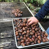 Review photo of Silver Falls State Park Campground by Jill T., July 11, 2018