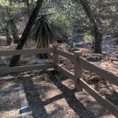 Review photo of Bonita Canyon Campground — Chiricahua National Monument by Mary C., February 26, 2022