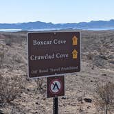 Review photo of Crawdad Cove Dispersed Camping — Lake Mead National Recreation Area by Greg L., February 26, 2022