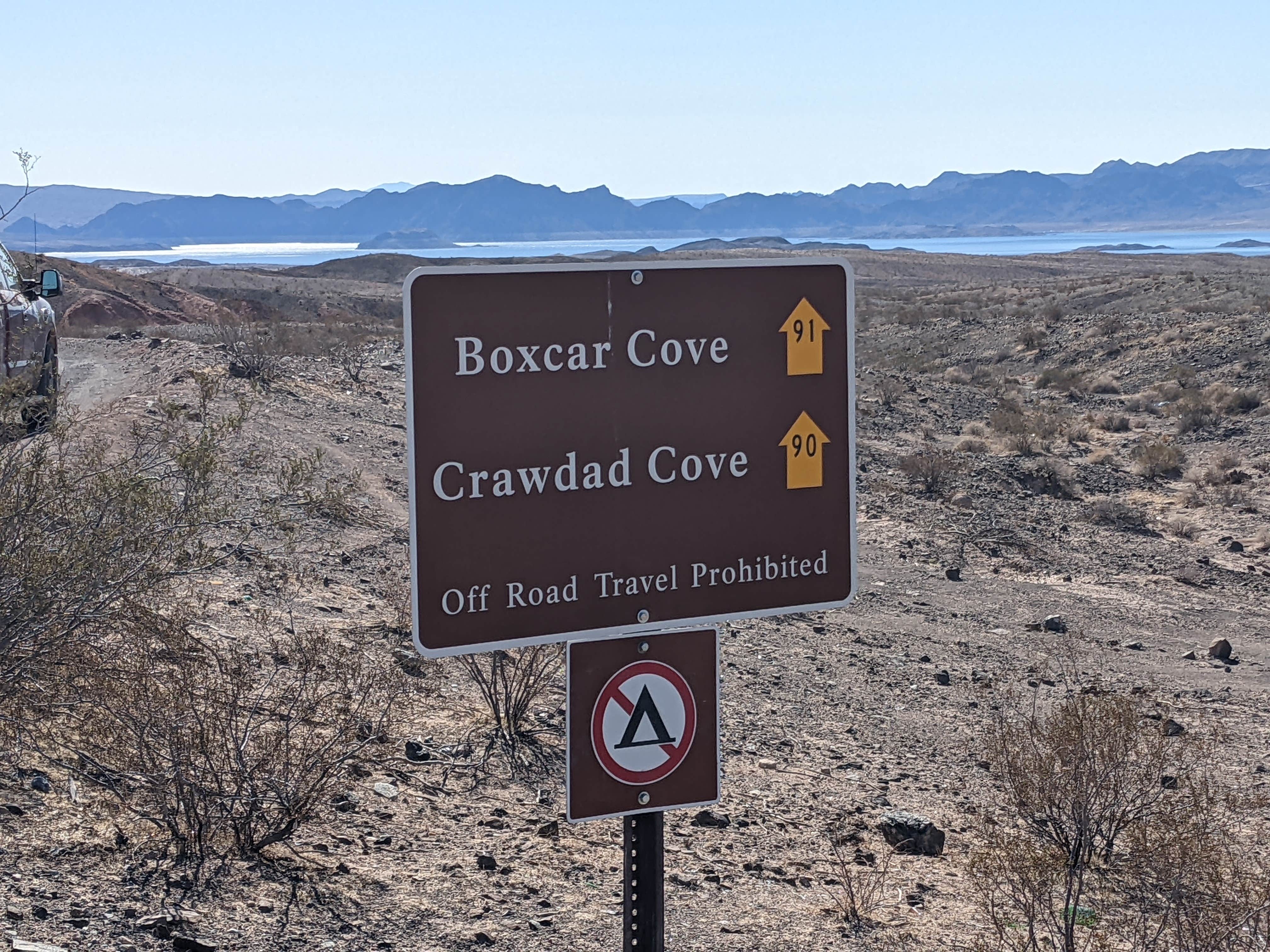 Camper submitted image from Crawdad Cove Dispersed Camping — Lake Mead National Recreation Area - 4