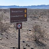 Review photo of Crawdad Cove Dispersed Camping — Lake Mead National Recreation Area by Greg L., February 26, 2022