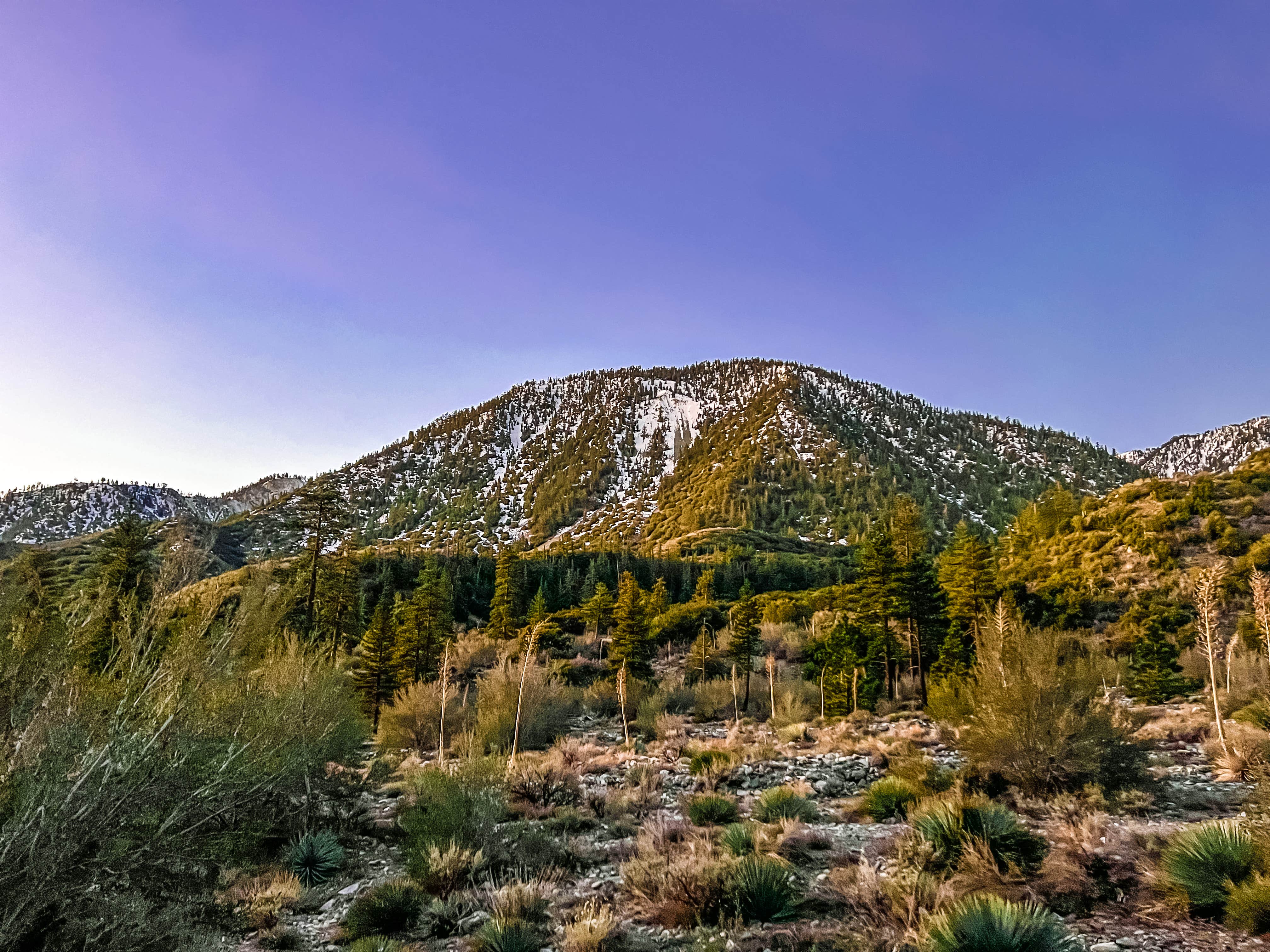 Camper-submitted photo at Stockton Flats Yellow Post Sites 3-8 near Crestline, CA
