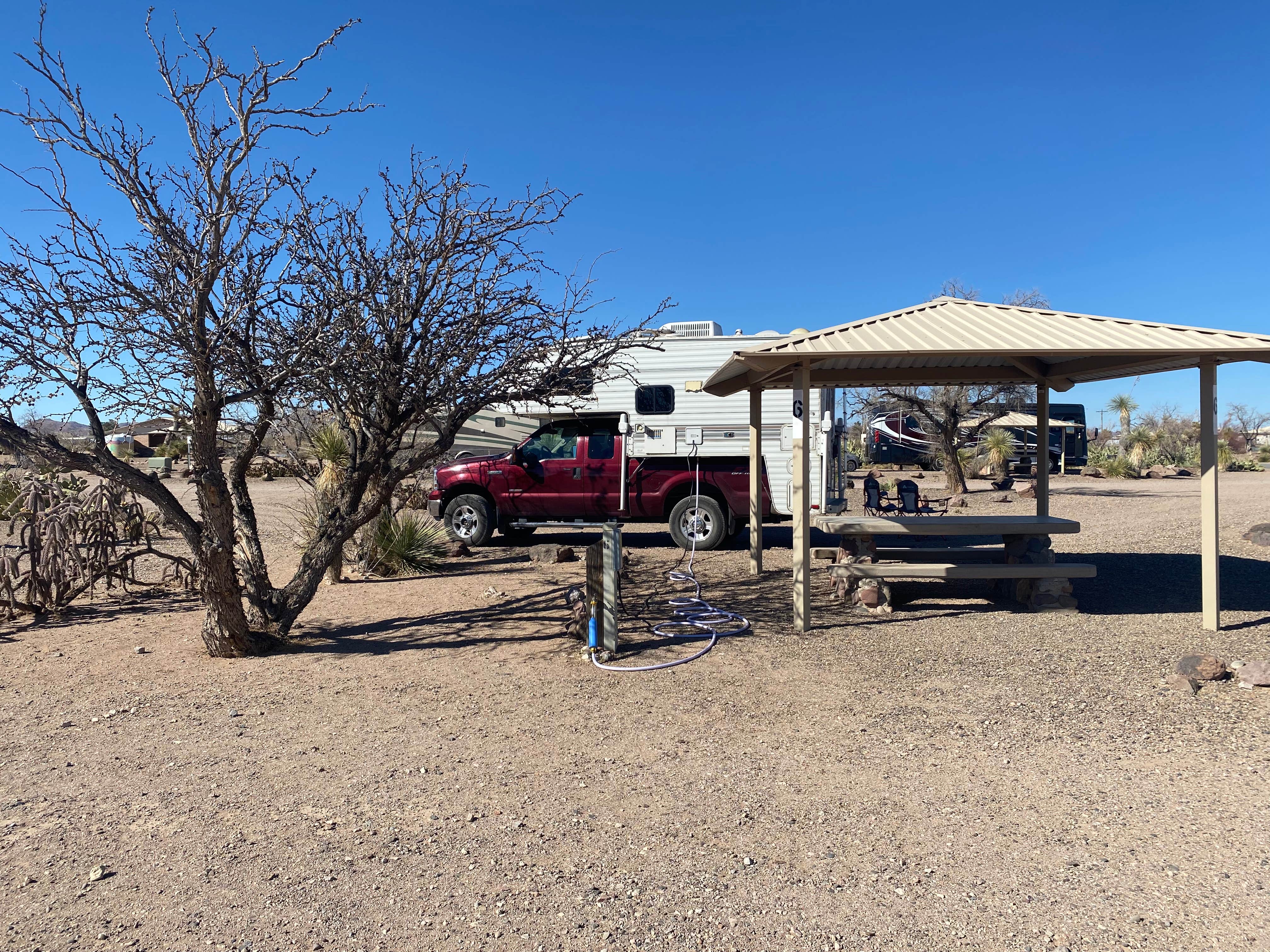 Camper submitted image from Pancho Villa State Park Campground - 3