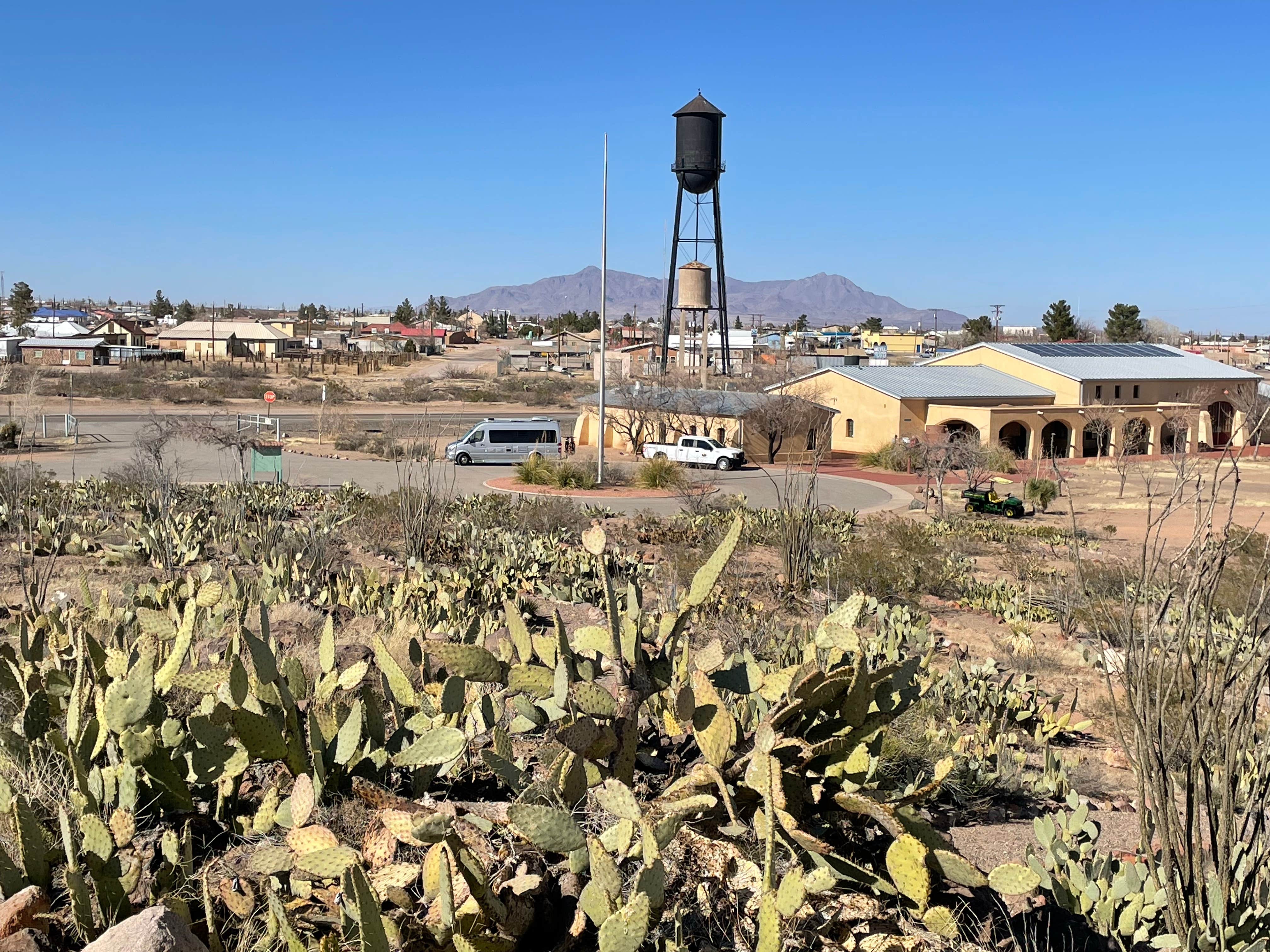 Camper-submitted photo at Pancho Villa State Park Campground near Columbus, NM