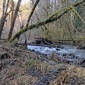 Review photo of Beaver Falls Trailhead - Overnight by Sarah J., February 27, 2022