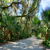 Review photo of Little Talbot Island State Park Campground by Sara R., February 27, 2022