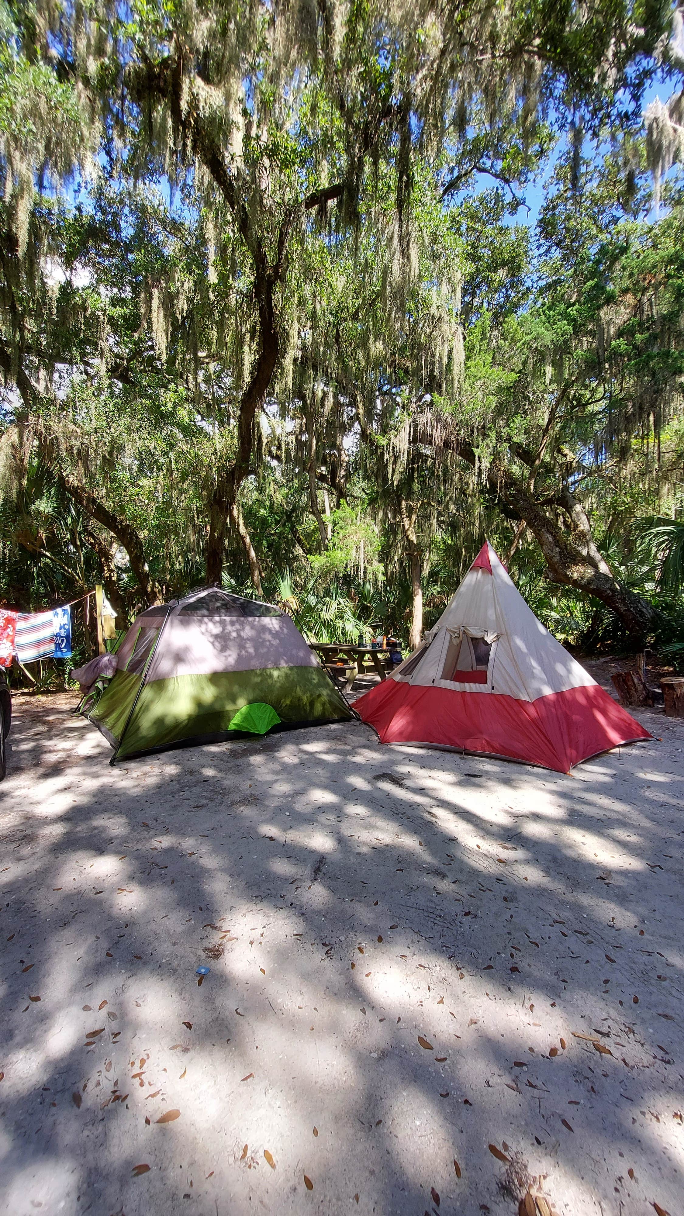 Sara R.'s photo at Little Talbot Island State Park Campground near Fernandina Beach, FL
