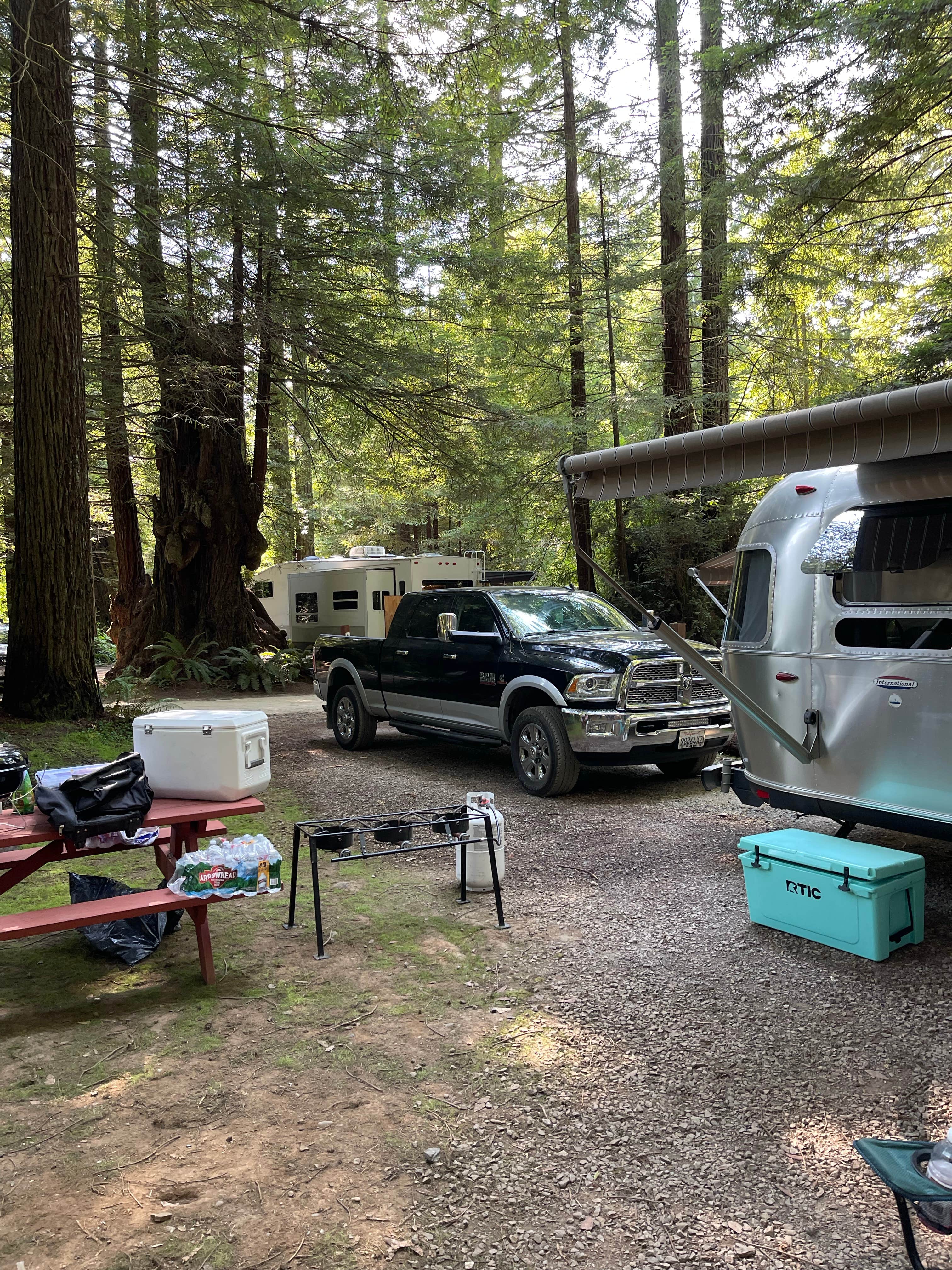 Gregory M.'s photo at Ramblin' Redwoods Campground & RV Park near Smith River, CA