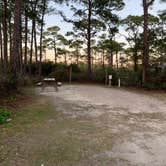 Review photo of Dr. Julian G. Bruce St. George Island State Park Campground by jessica O., February 28, 2022
