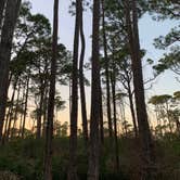 Review photo of Dr. Julian G. Bruce St. George Island State Park Campground by jessica O., February 28, 2022