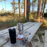 Review photo of Dr. Julian G. Bruce St. George Island State Park Campground by jessica O., February 28, 2022