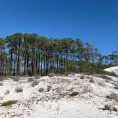 Review photo of Dr. Julian G. Bruce St. George Island State Park Campground by jessica O., February 28, 2022