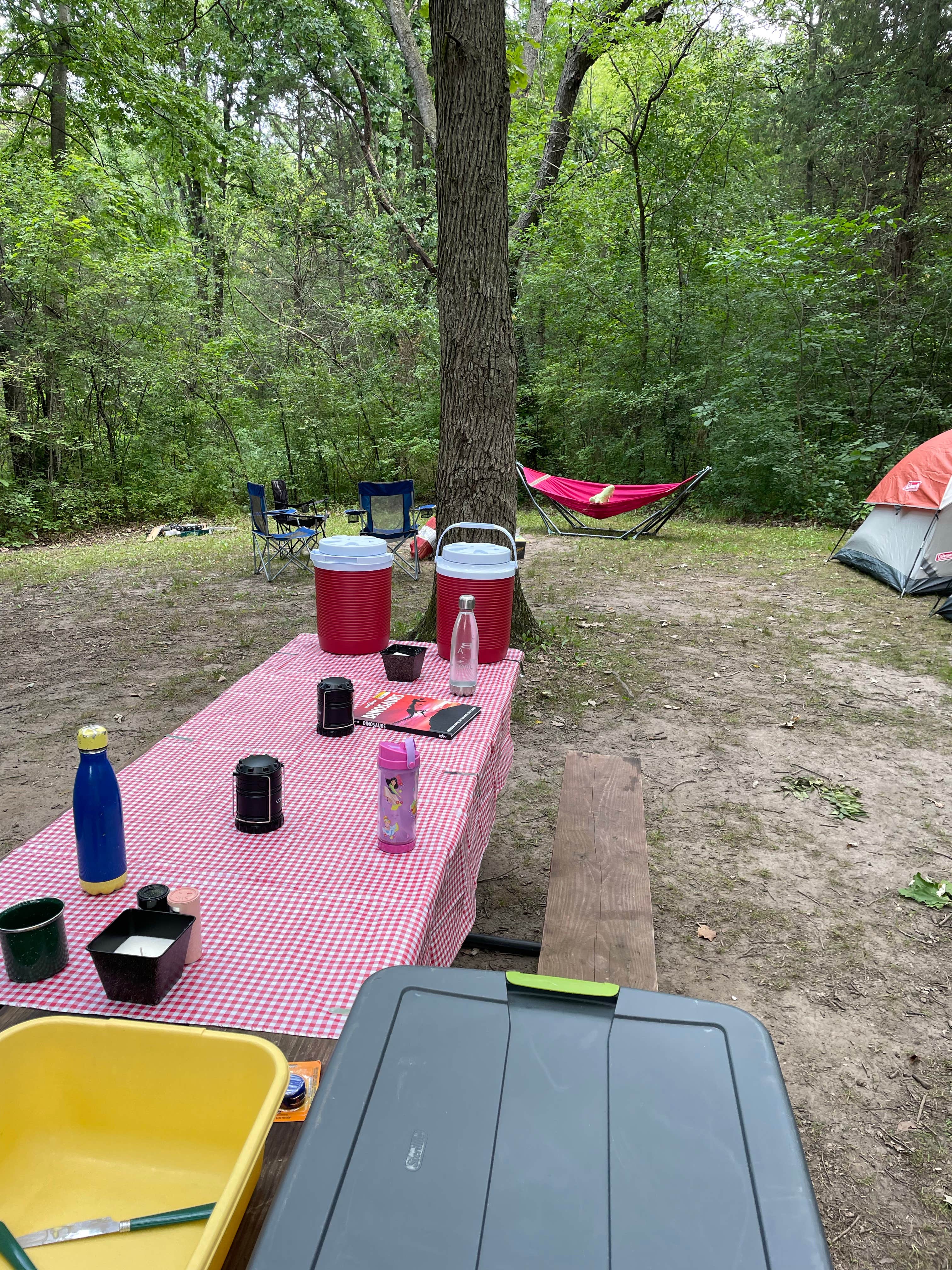 Nicole K.'s photo at Sunset Campground — Richard Bong State Recreation Area near Elkhorn, WI