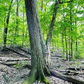 Review photo of Ice Age - Devils Lake State Park by Nicole K., February 28, 2022