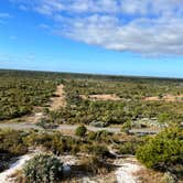 Review photo of Pine Grove Campground — Jonathan Dickinson State Park by Phil , February 28, 2022