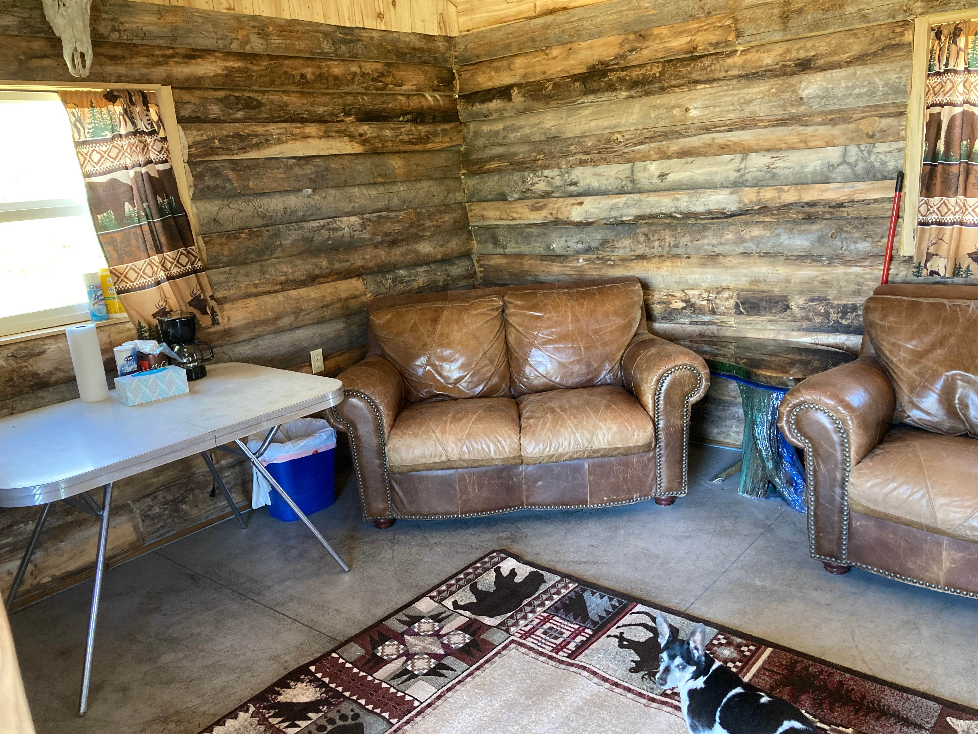 Camper-submitted photo at Homestead Places near Grand Junction, CO