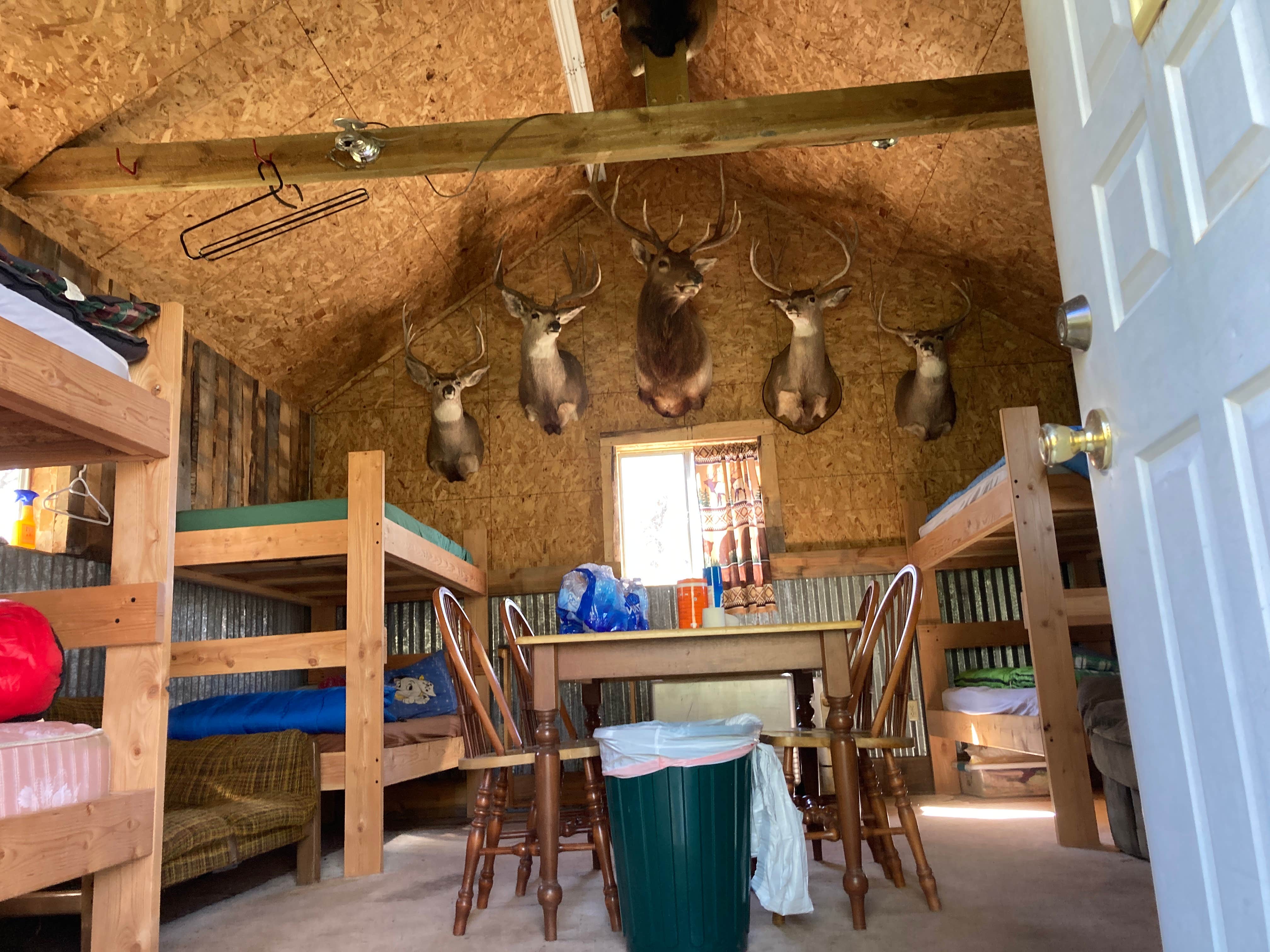 Miranda D.'s photo of camping with pets at Homestead Places near Fruita, CO