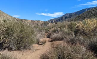 jerod's photo of camping with pets at Oak Flat Campground near Mojave, CA