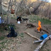 Review photo of Oak Flat Campground by jerod , February 28, 2022