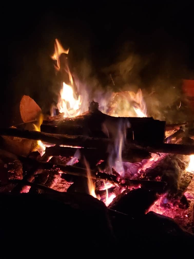 Camper-submitted photo at Dispersed site along Forest RD 71 near Whately, MA