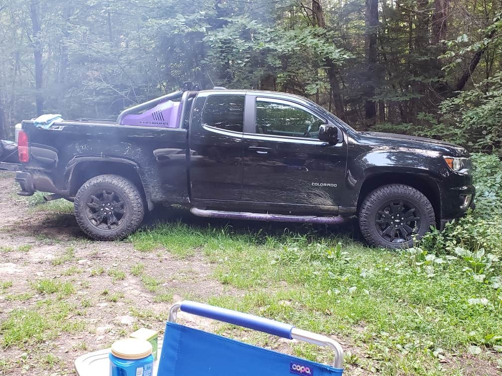 Camper-submitted photo at Dispersed site along Forest RD 71 near Arlington, VT