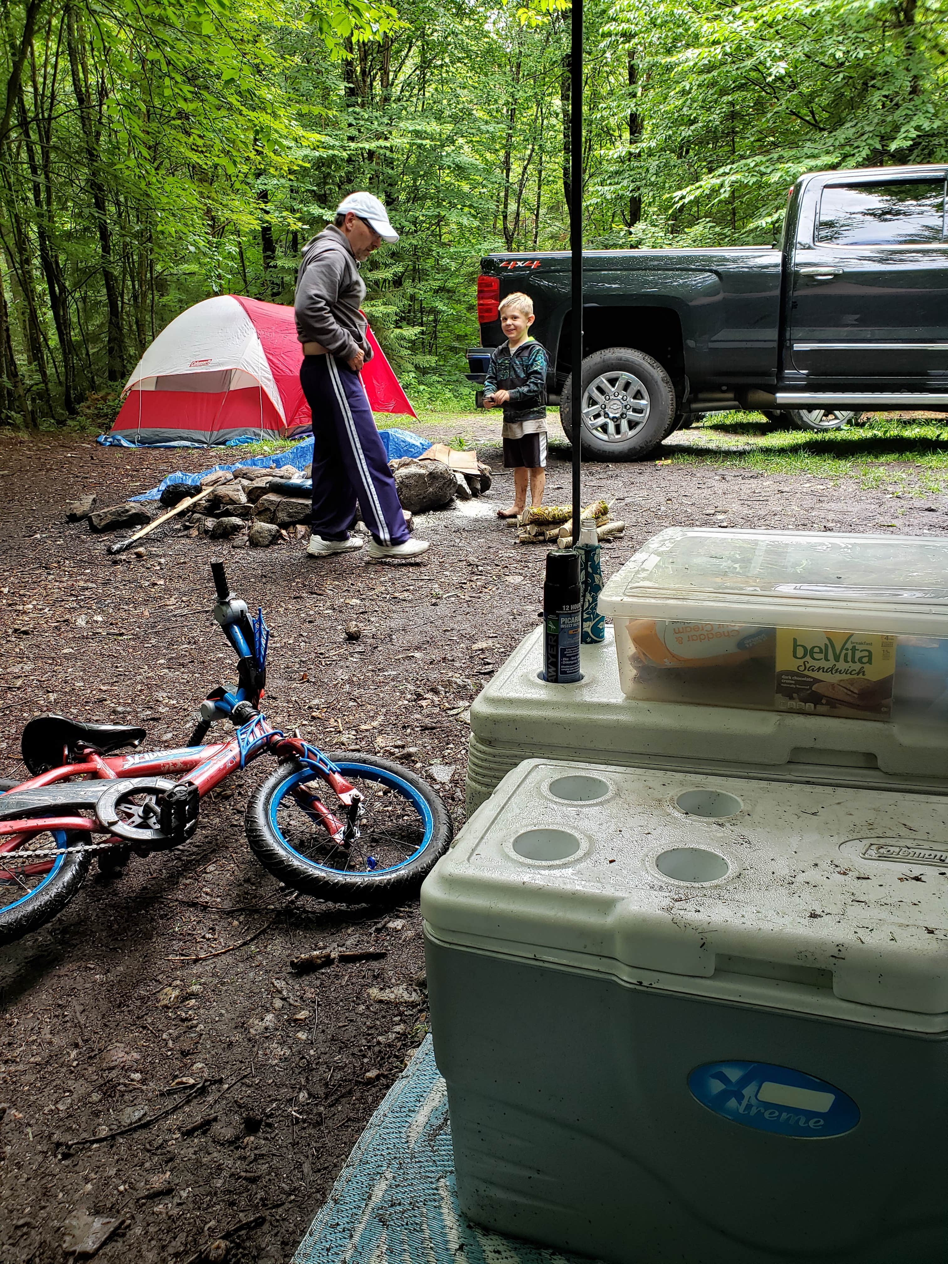 Camper-submitted photo at Dispersed site along Forest RD 71 near Whately, MA