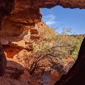 Review photo of Caprock Canyons State Park -  Honey Flat by Kelly Y., February 28, 2022