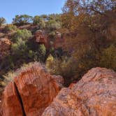 Review photo of Caprock Canyons State Park -  Honey Flat by Kelly Y., February 28, 2022