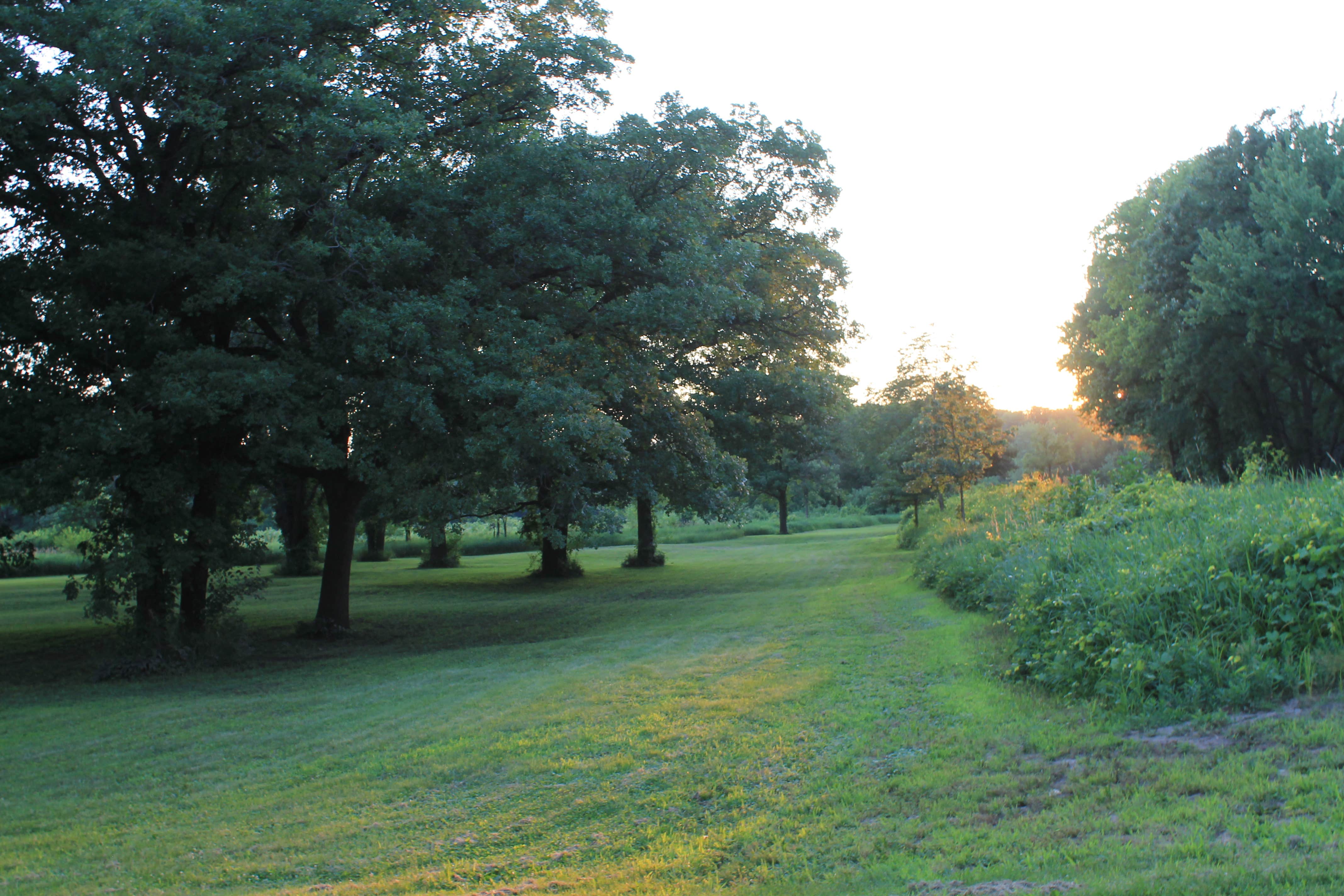 Camper submitted image from Saulsbury Bridge Recreation Area - Main Camping - 2