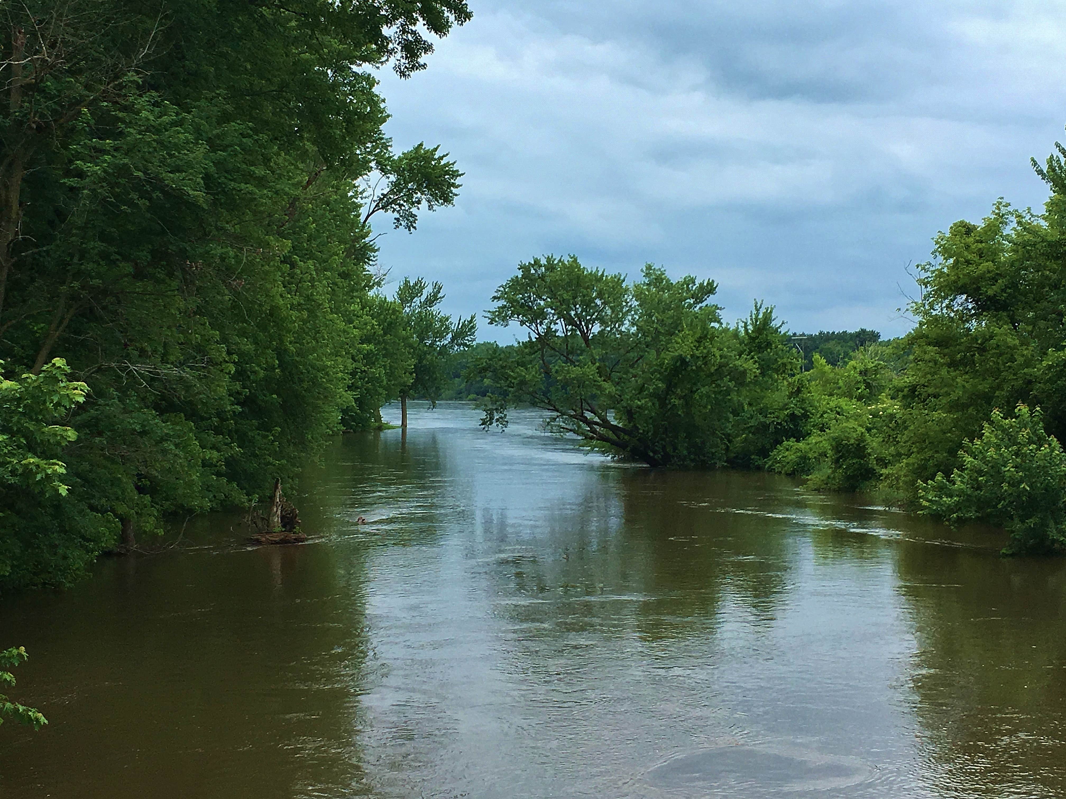 Camper submitted image from Saulsbury Bridge Recreation Area - Main Camping - 5