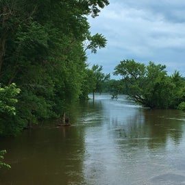 Cedar River at flood stage