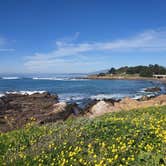 Review photo of San Simeon Creek Campground — Hearst San Simeon State Park by Stephanie M., March 1, 2022