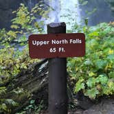Review photo of Silver Falls State Park Campground by Jill T., July 11, 2018