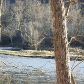 Review photo of Bull Shoals-White River State Park by Leslie D., March 1, 2022