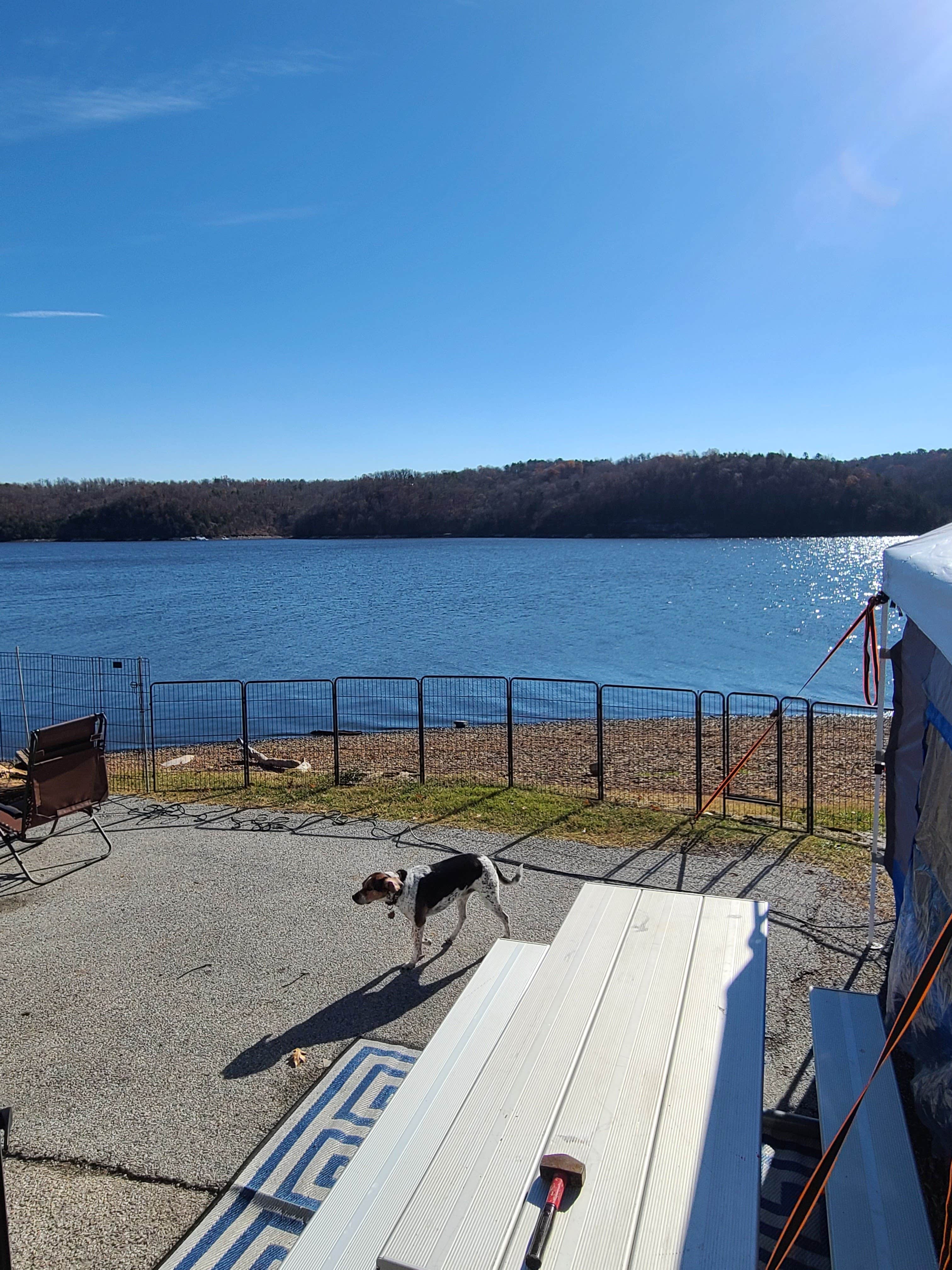 Leslie D.'s photo of camping with pets at Horseshoe Bend Rec Area & Campground near Cave Springs, AR