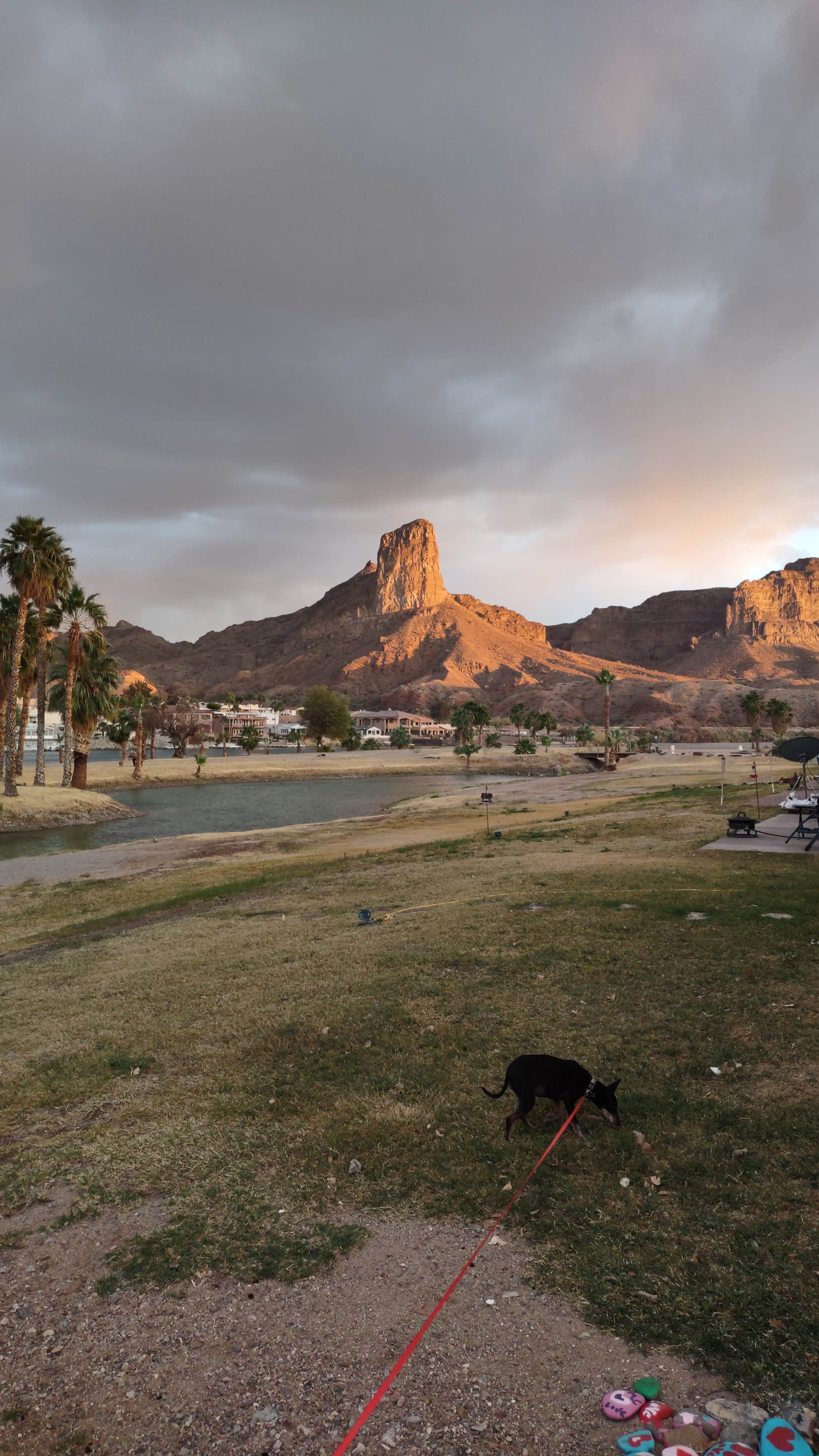 Camper-submitted photo at River Lodge Resort near Parker Dam, CA