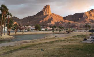 Randall Z.'s photo of camping with pets at River Lodge Resort near Parker Dam, CA