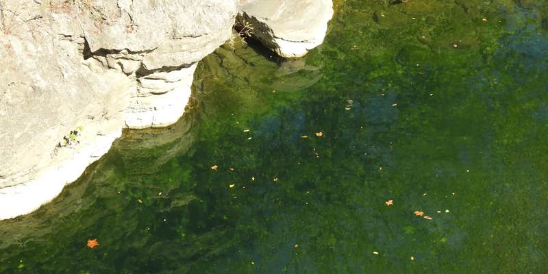 Camper submitted image from Anglers White River Resort