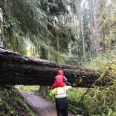 Review photo of Silver Falls State Park Campground by Jill T., July 11, 2018