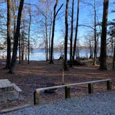 Review photo of Lake D'Arbonne State Park — New Lake D'arbonne State Park by Cheri H., March 1, 2022