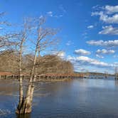 Review photo of Lake D'Arbonne State Park — New Lake D'arbonne State Park by Cheri H., March 1, 2022