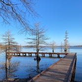 Review photo of Lake D'Arbonne State Park — New Lake D'arbonne State Park by Cheri H., March 1, 2022