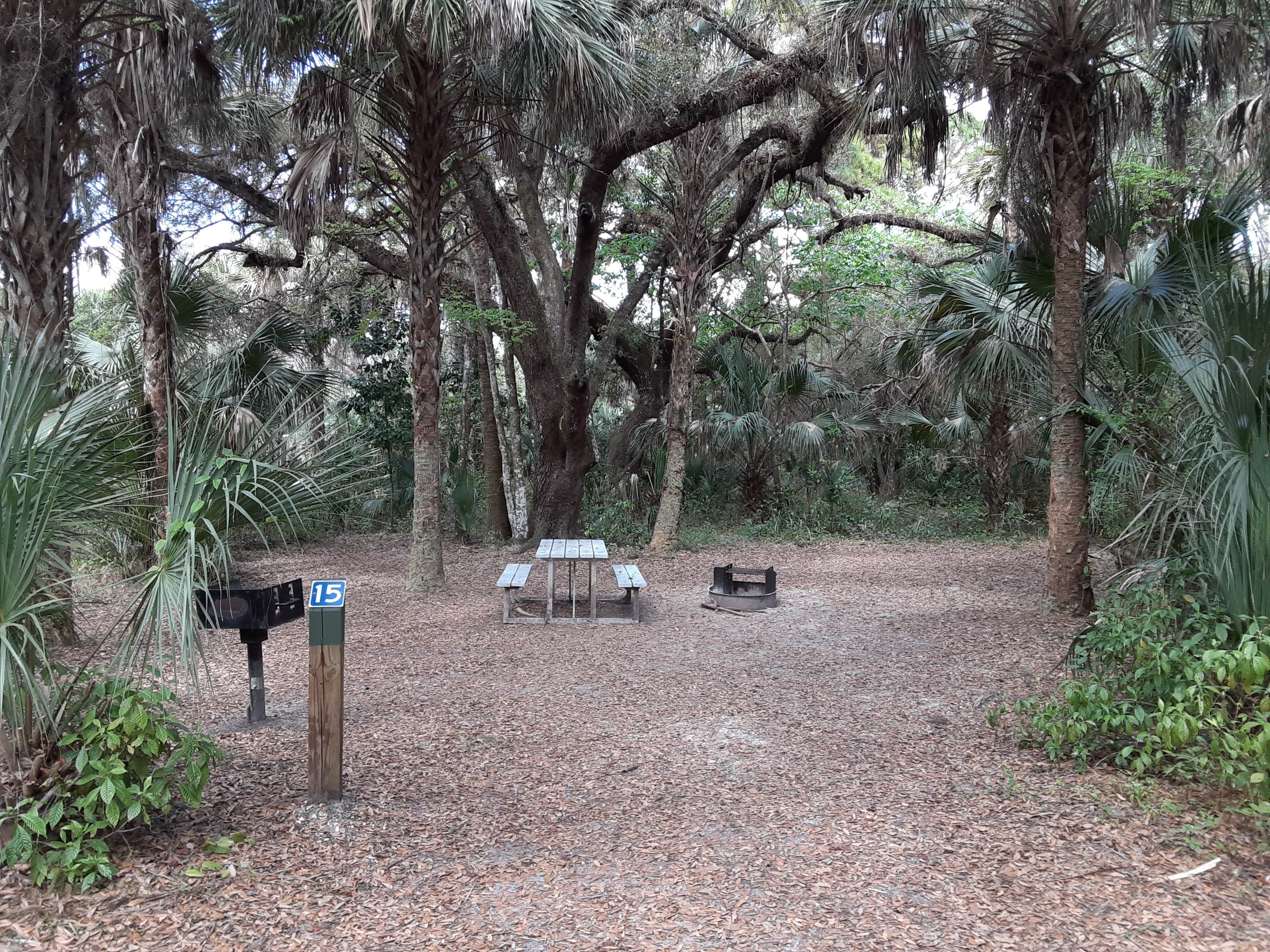 Camper submitted image from Caloosahatchee Regional Park - 3