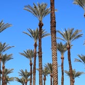 Review photo of Encore Palm Springs Oasis by Pamela H., March 1, 2022