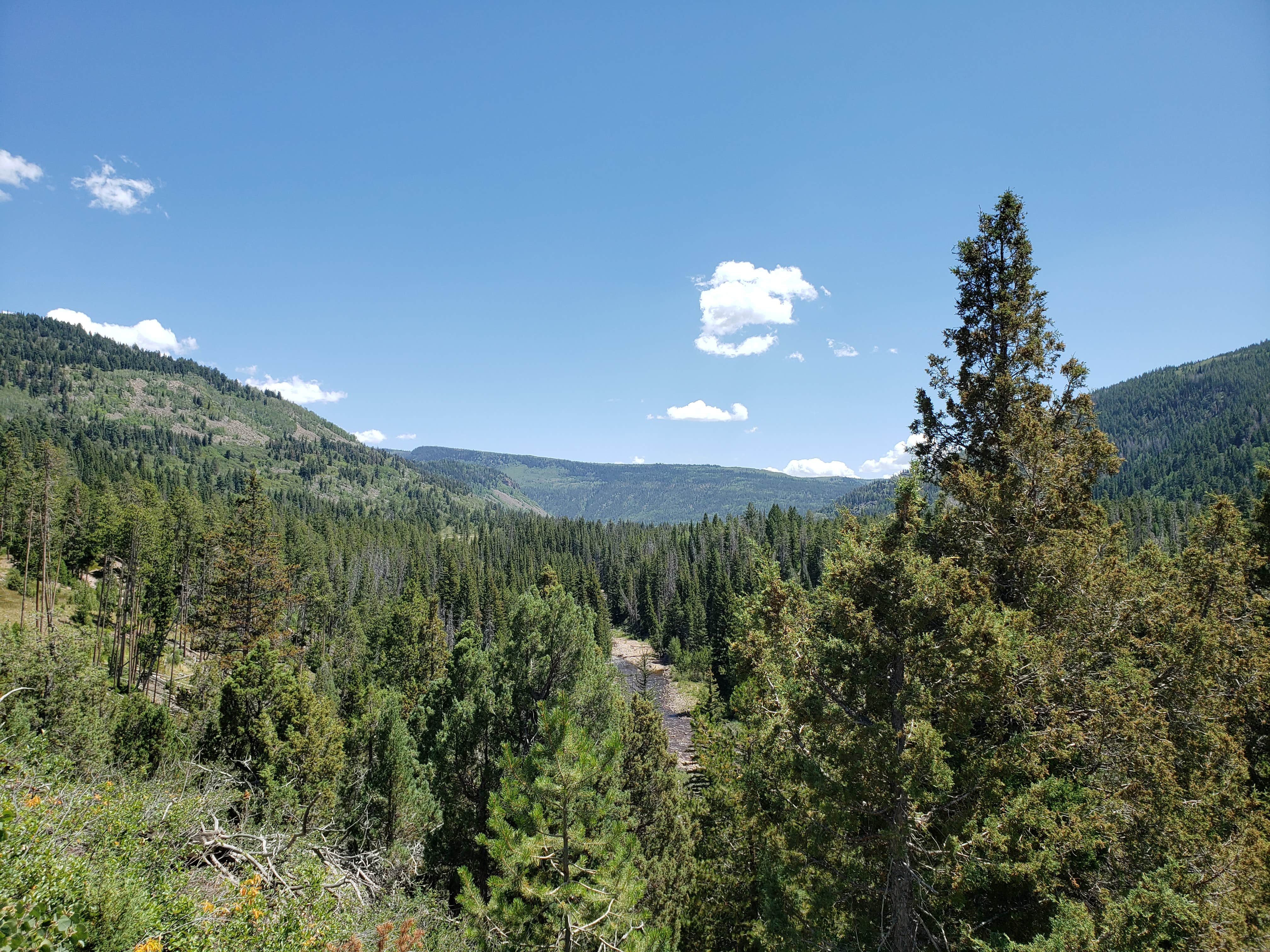 Camper submitted image from Wasatch National Forest Soapstone Campground - 1