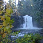 Review photo of Silver Falls State Park Campground by Jill T., July 11, 2018