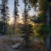 Review photo of Thompson Flat Campground by Michelle E., March 1, 2022